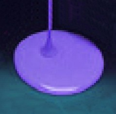 pr_01.jpg